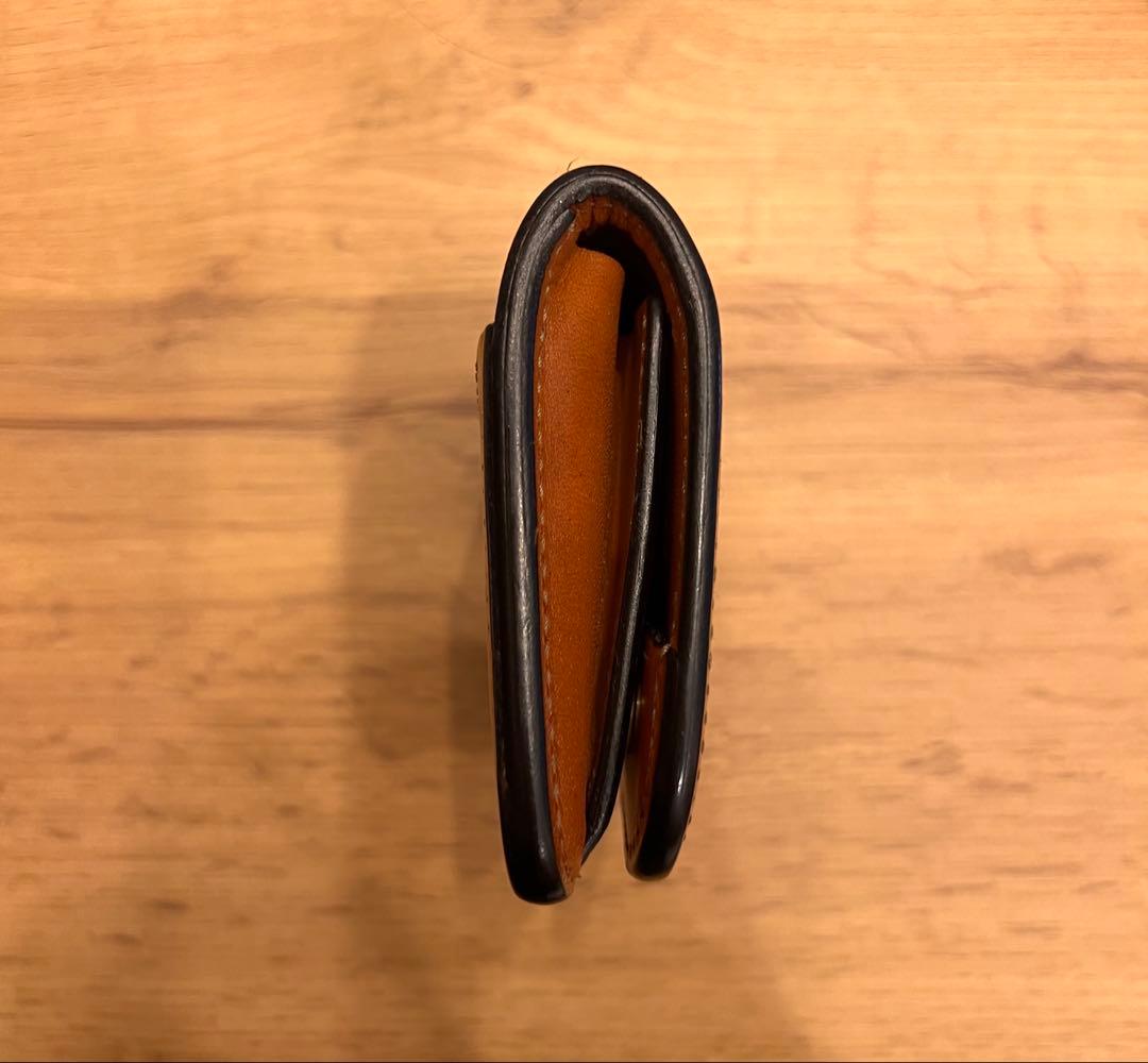 ワイルドスワンズ　パーム　フルグレインブライドル