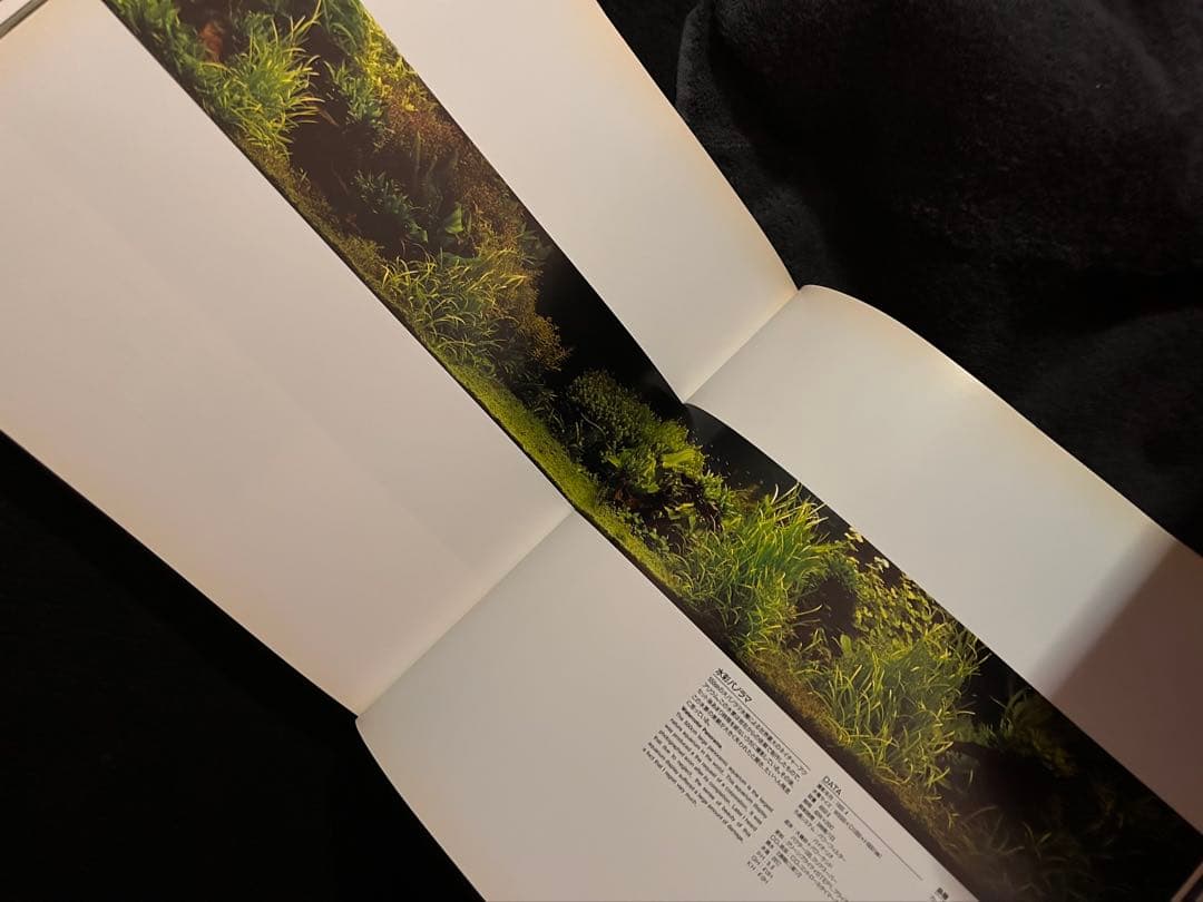 専用　アクアデザインアマノ Nature Aquarium World 作品集