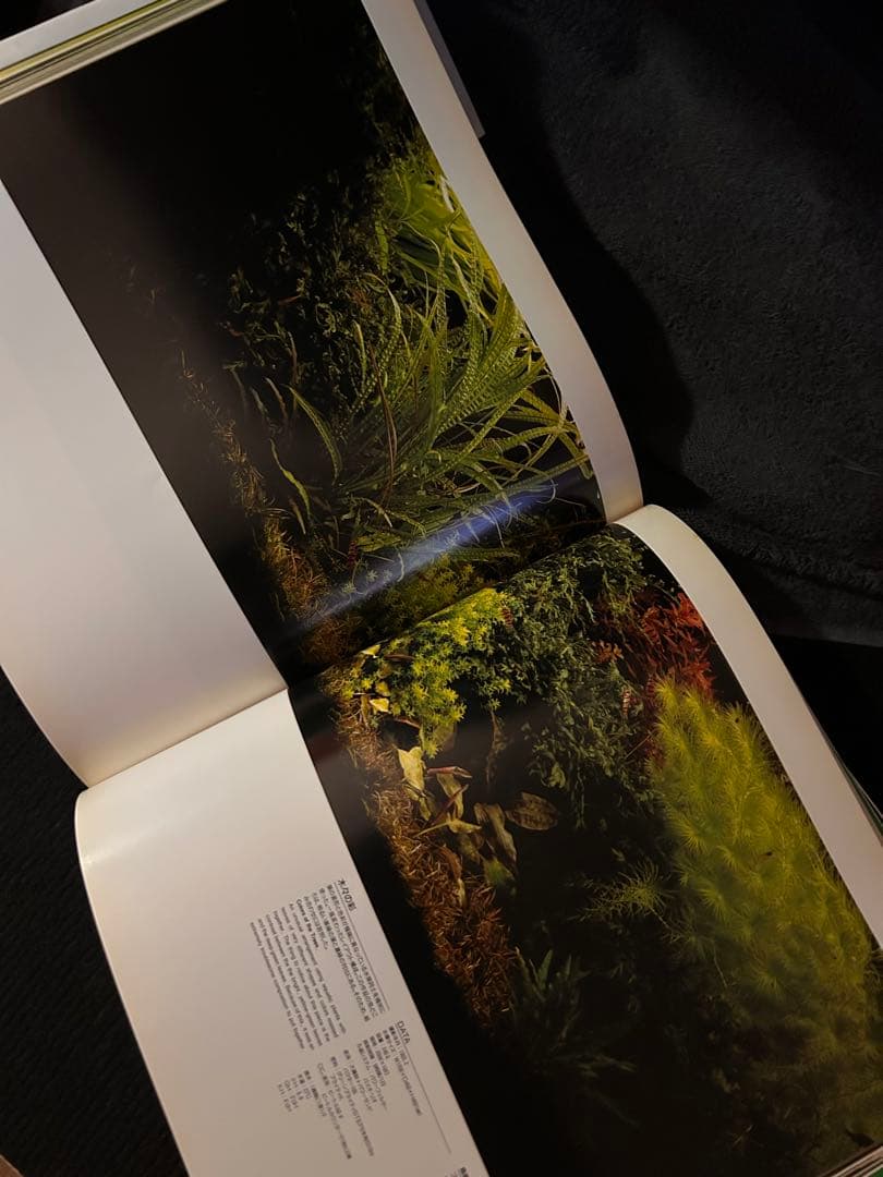 専用　アクアデザインアマノ Nature Aquarium World 作品集