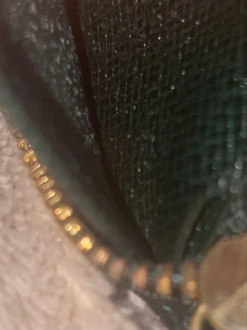 【未使用品】ルイヴィトン タイガ エピセア ポルトビエモネジップ 二つ折り財布