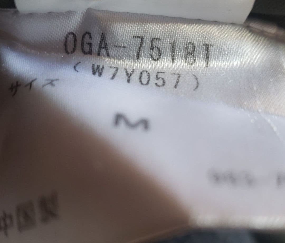 DESCENTE　デサント　ogasaka ski オガサカ　スキーパンツ