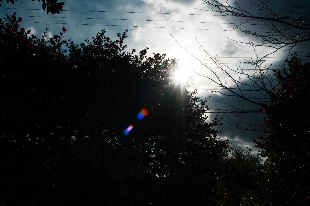 アダプター2こNikon Ai Nikkor 35mm F2 026