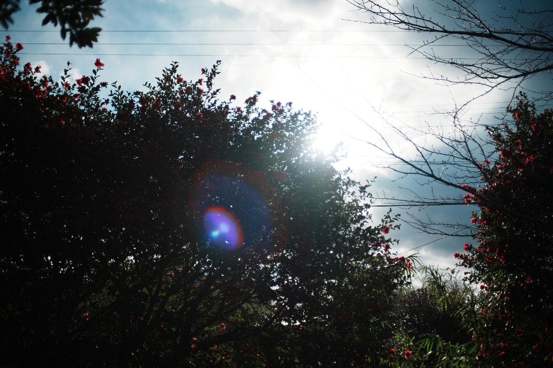 アダプター2こNikon Ai Nikkor 35mm F2 026