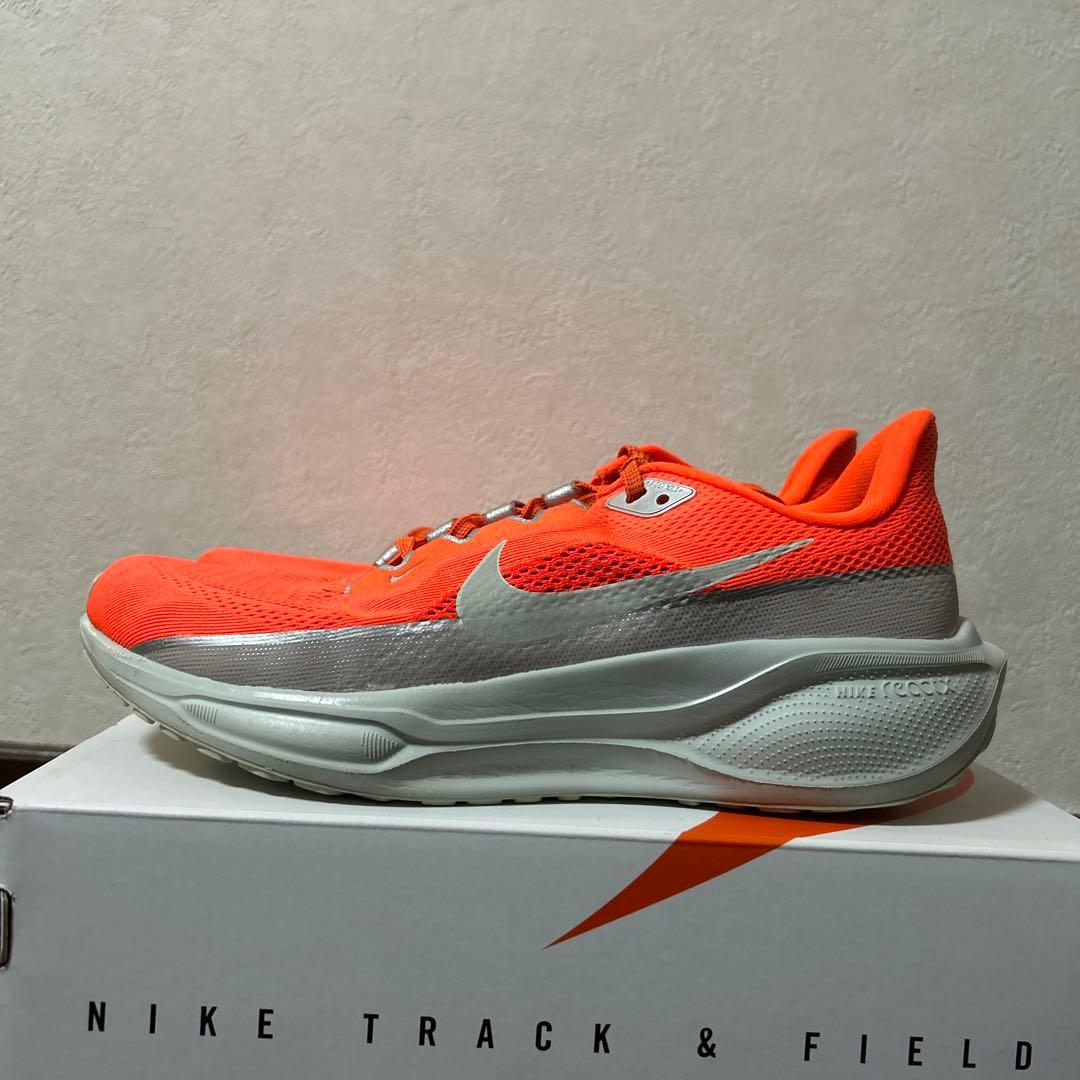 ペガサス41 25センチ