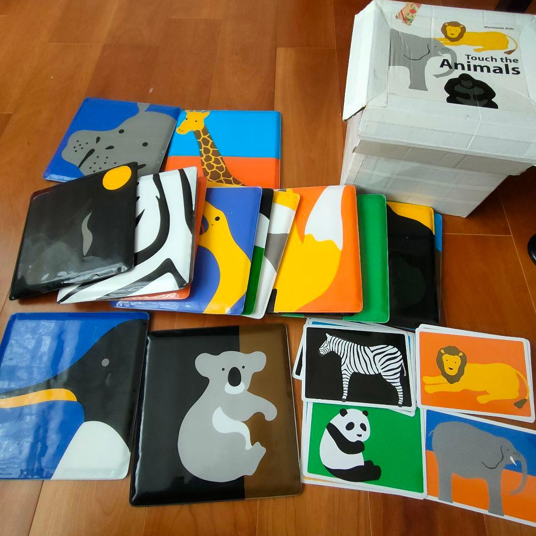 Worldwide Kids English 教材　DVD