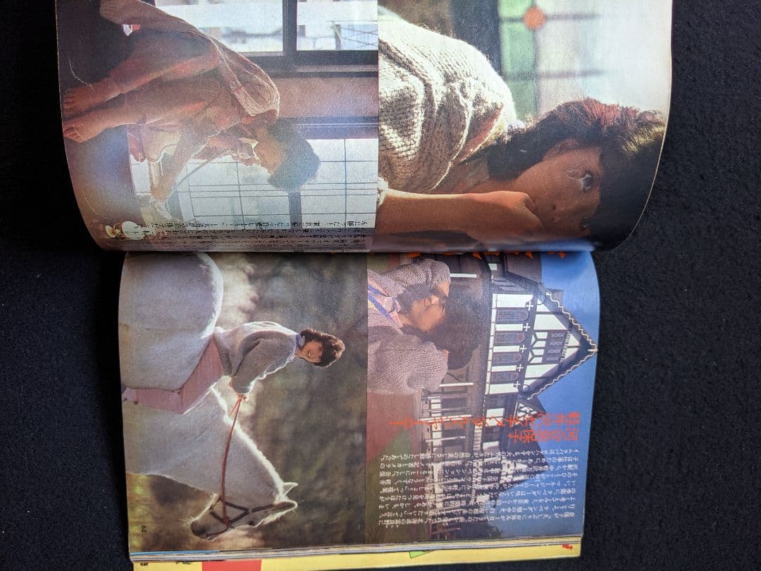 明星　少年隊　中森明菜　河合奈保子　小泉今日子　松田聖子　岡田有希子　桑田佳祐