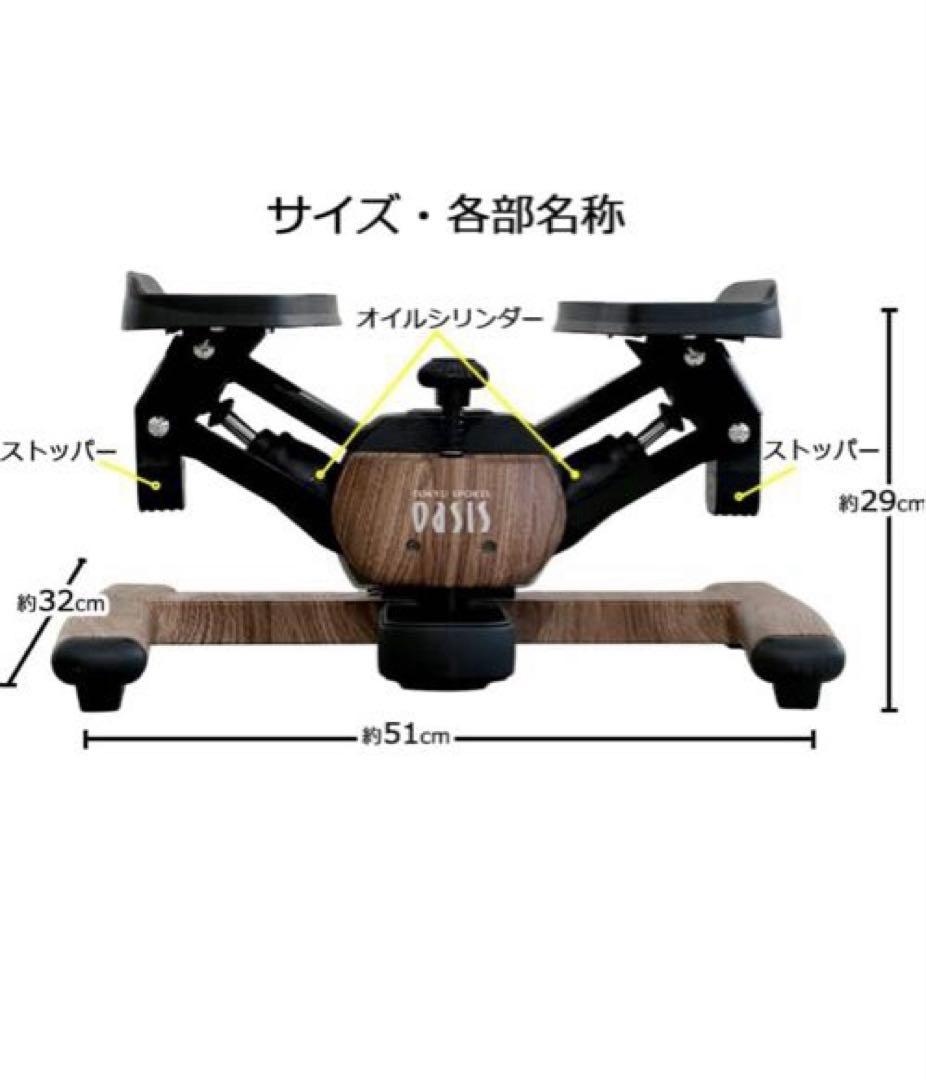 未使用❣️送料無料廃盤デザインツイストエアロステッパープレミアムスポーツオアシス