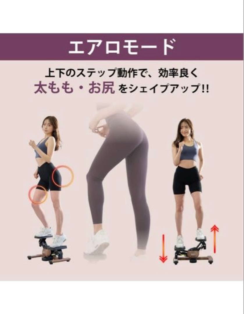 未使用❣️送料無料廃盤デザインツイストエアロステッパープレミアムスポーツオアシス