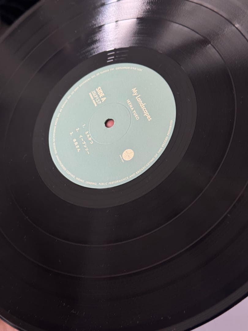 盤未使用　池間由布子　my landscape レコード2枚組