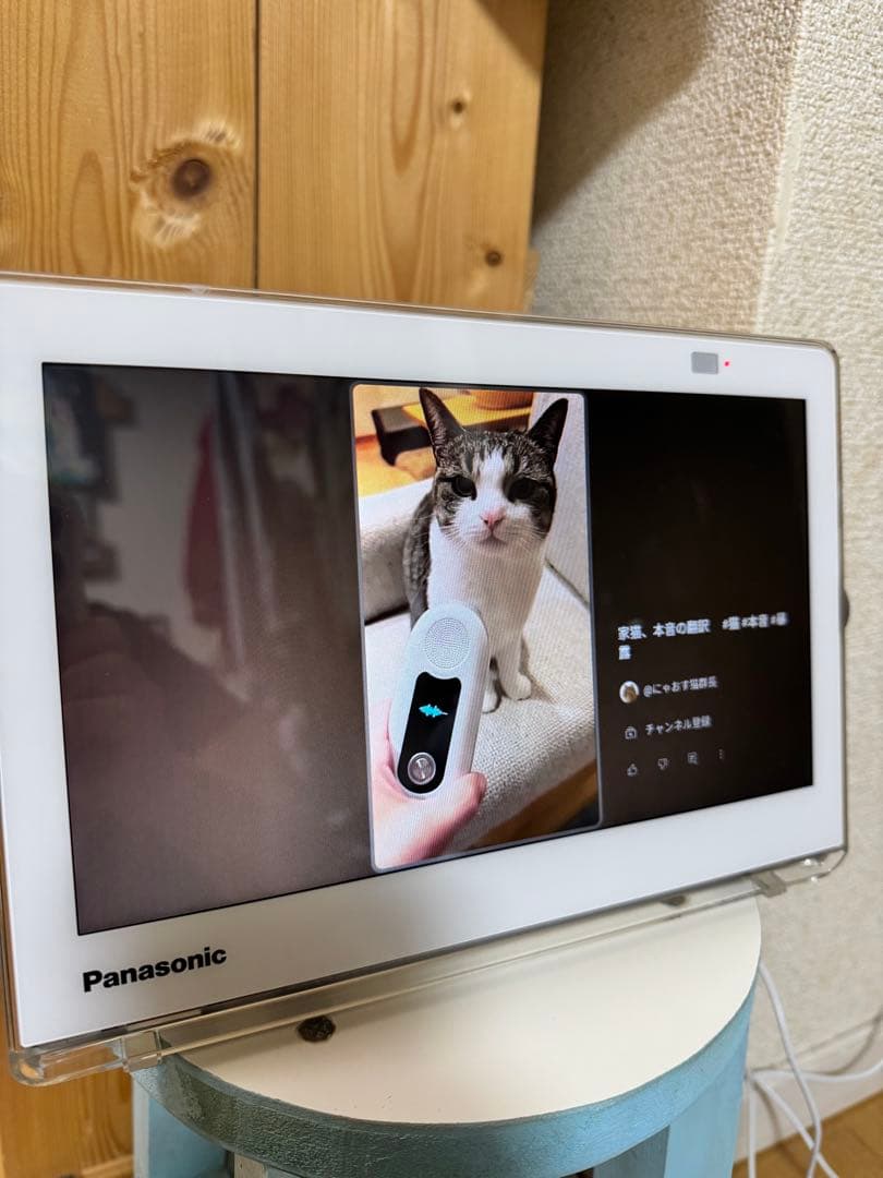 パナソニック プライベートビエラ UN-10CN9D ポータブル　VIERA