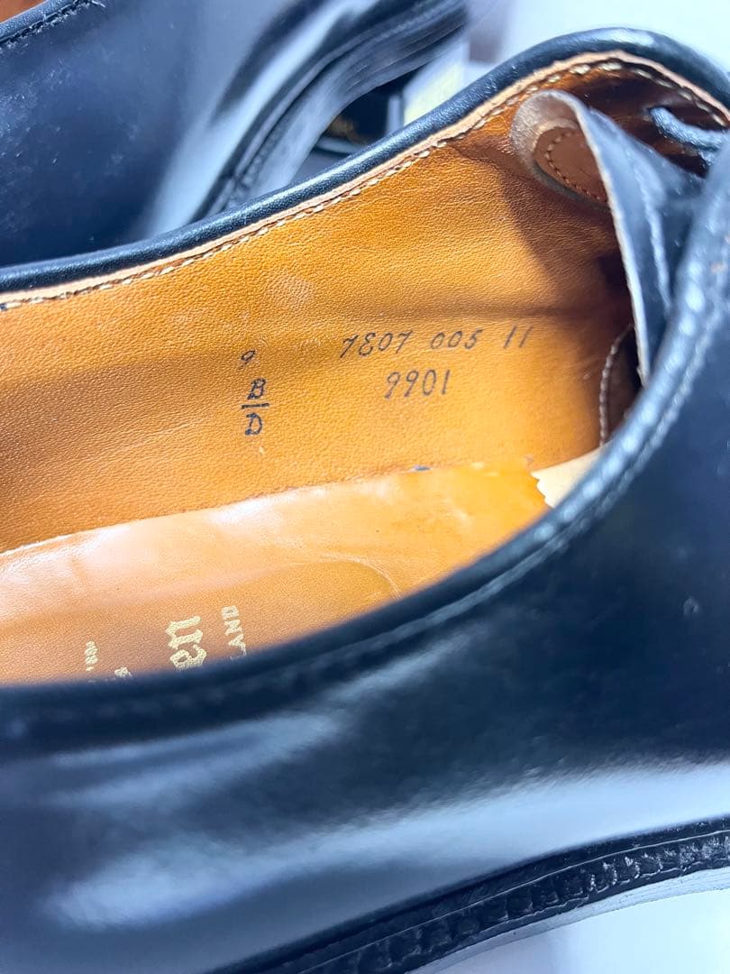 ★極美品★Alden 9901 US9D コードバン プレーントゥ 純正ツリー付