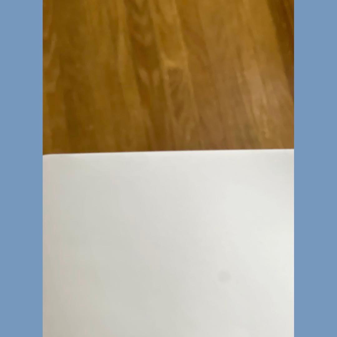 【最終値下げ】 iPhone13 Pro Max シエラブルー 256GB