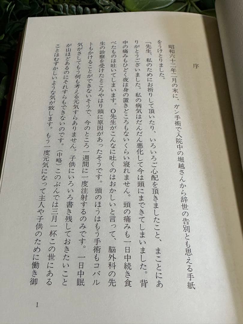 生きることの記 堀越富江著