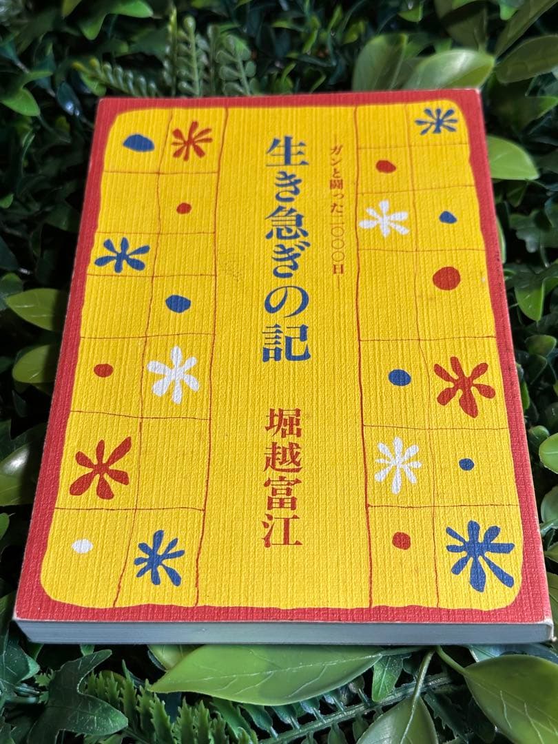 生きることの記 堀越富江著
