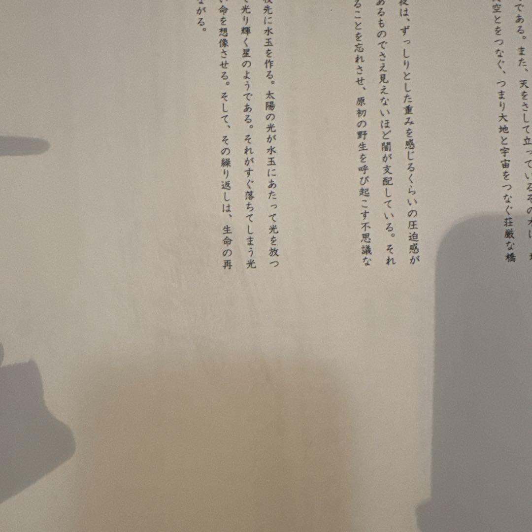 中学受験 知力の背骨 西村則康監修 中学入試 （未開封品あり）