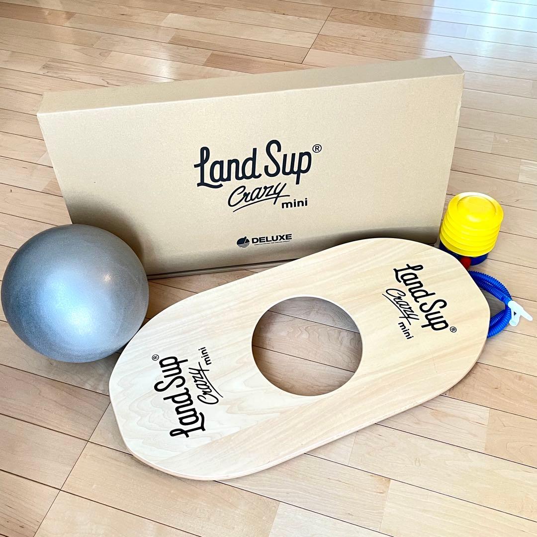 LandSup Crazy mini バランスボードセット