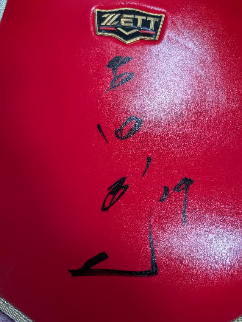 ぱ*ん様 サイン有りZETT プロステイタス キャッチャー防具 プロテクター／J