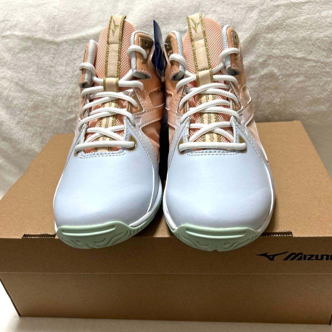 【新品】ミズノウェーブダイバースLG4 限定色　24cm フィットネスシューズ