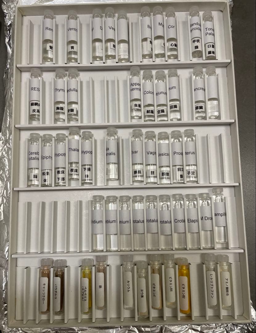 フィシオエナジェティック　内臓テストキット