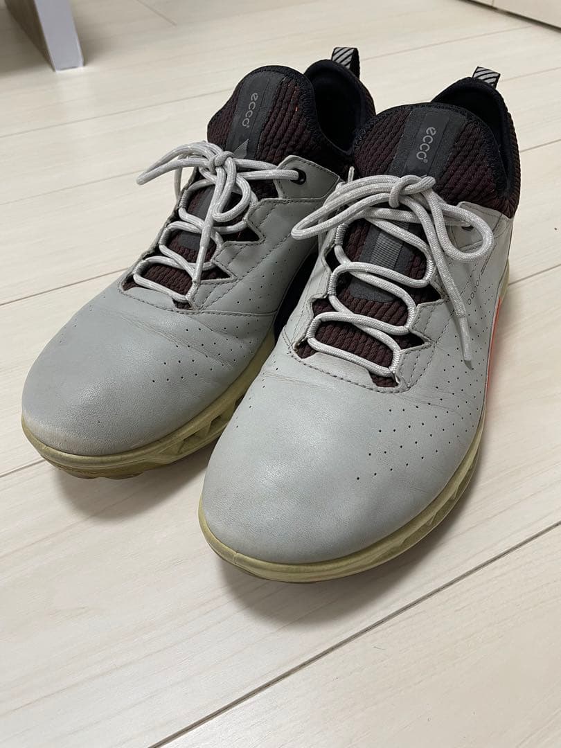 【定価36,300円】ecco☆biom C4 GORE-TEX EU43