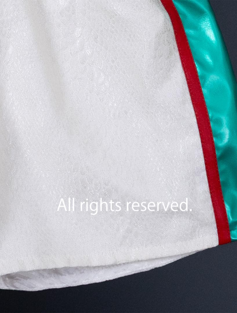 試合用に！SSサイズ（ジュニア又はレディース）スネーク柄のボクシングトランクス