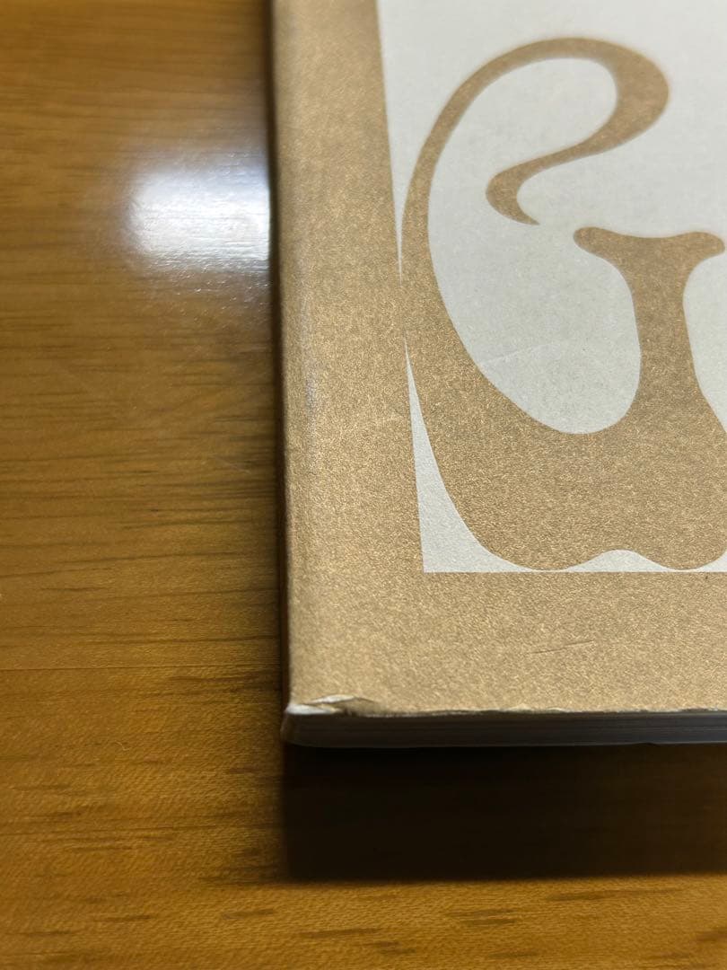 NAGA HAJIME SORAYAMA 空山基　ナーガ　イラスト集