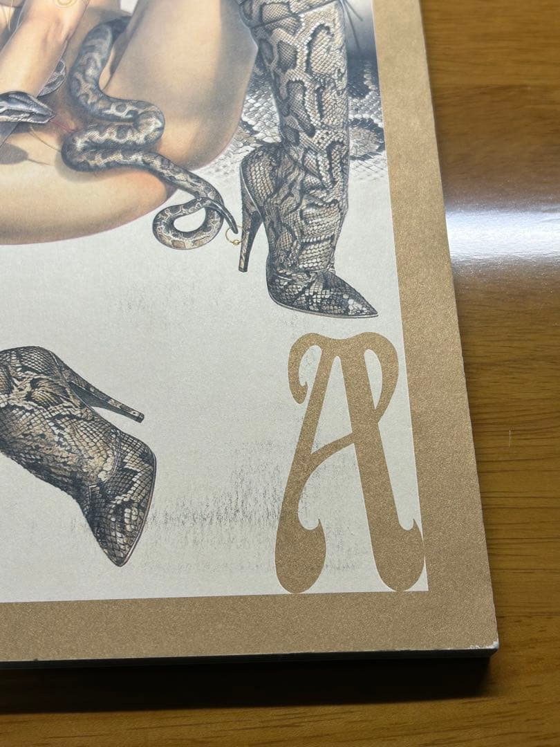 NAGA HAJIME SORAYAMA 空山基　ナーガ　イラスト集