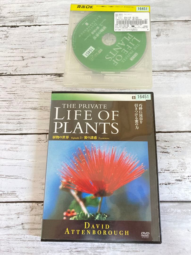 BBC 植物の世界 DVD 5枚セット　まとめ売り