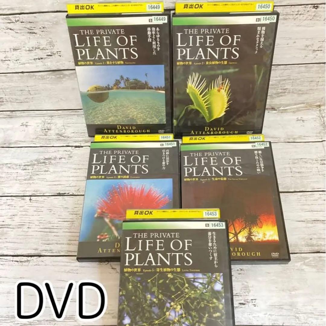 BBC 植物の世界 DVD 5枚セット　まとめ売り