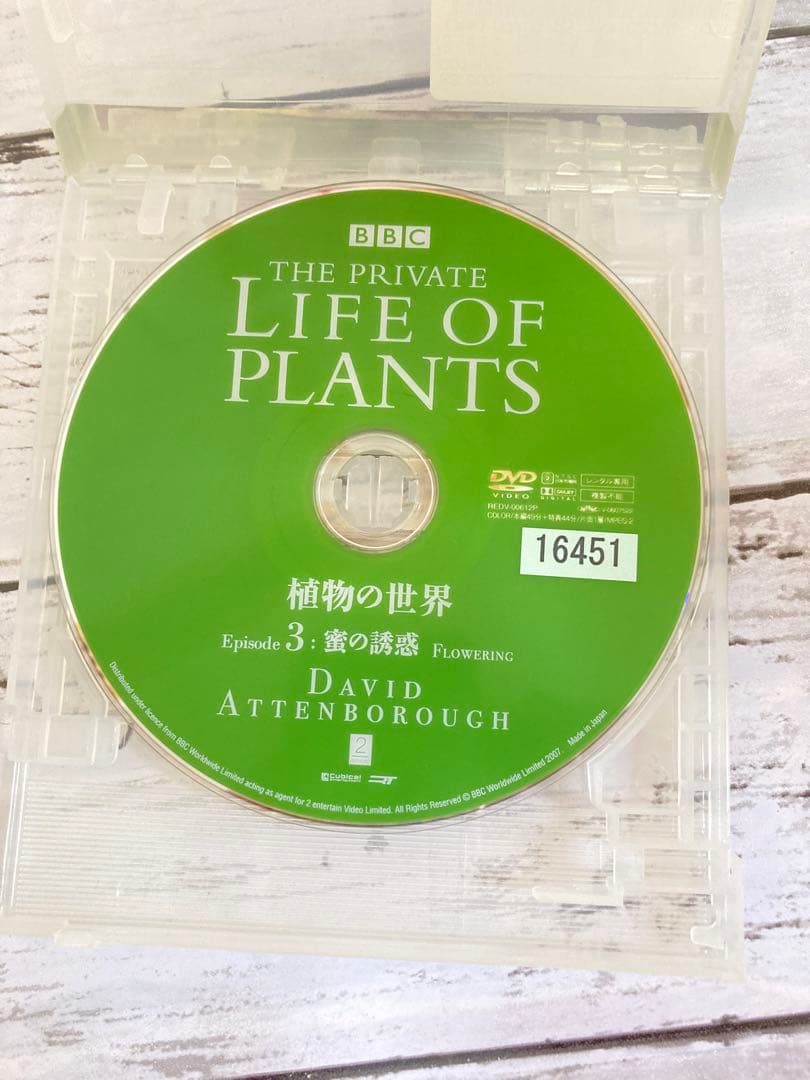 BBC 植物の世界 DVD 5枚セット　まとめ売り