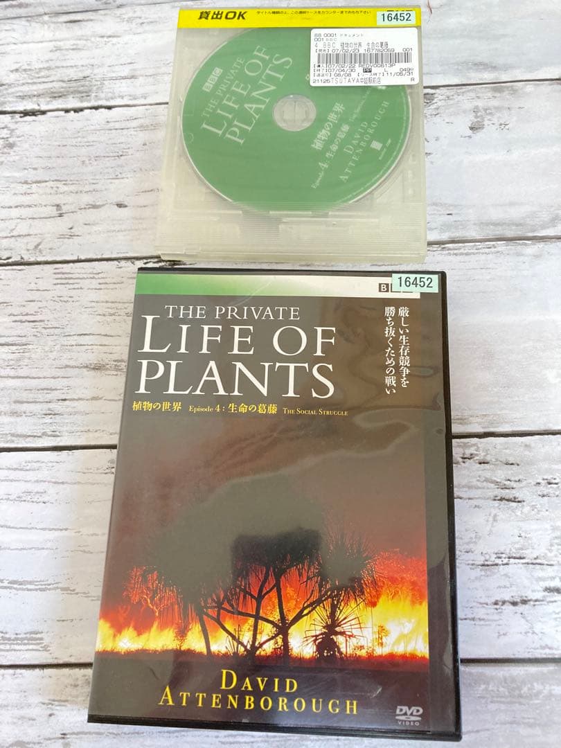BBC 植物の世界 DVD 5枚セット　まとめ売り