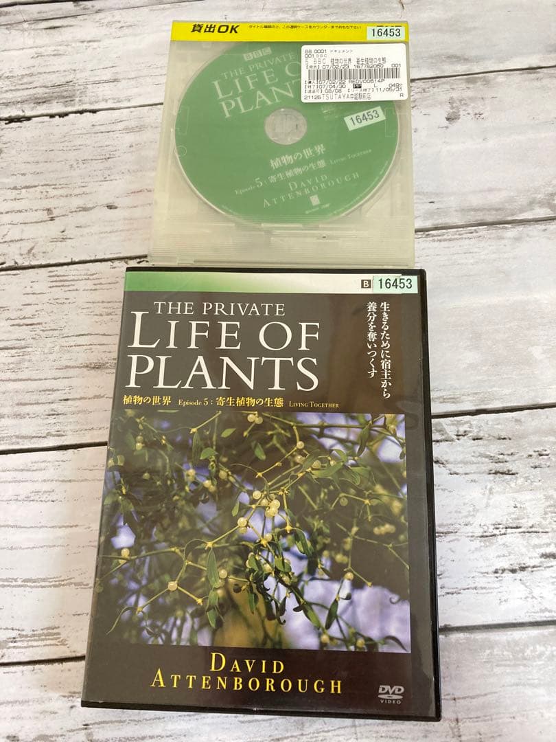 BBC 植物の世界 DVD 5枚セット　まとめ売り
