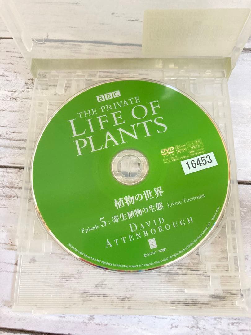 BBC 植物の世界 DVD 5枚セット　まとめ売り