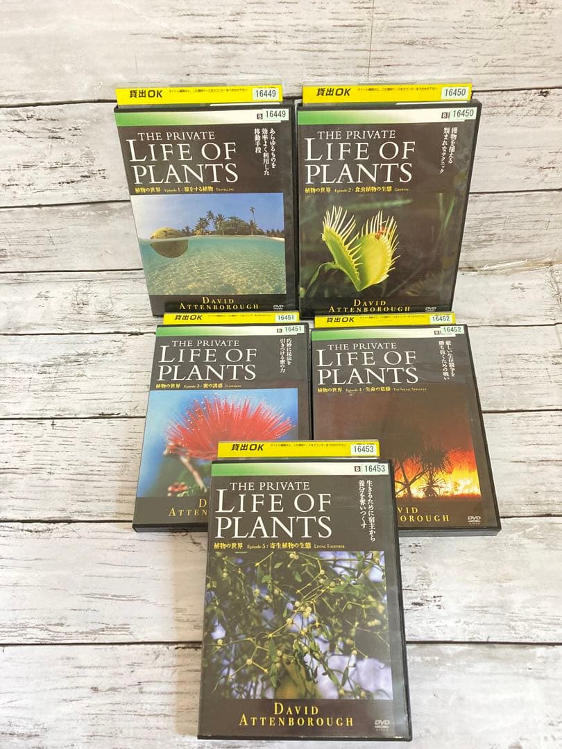 BBC 植物の世界 DVD 5枚セット　まとめ売り