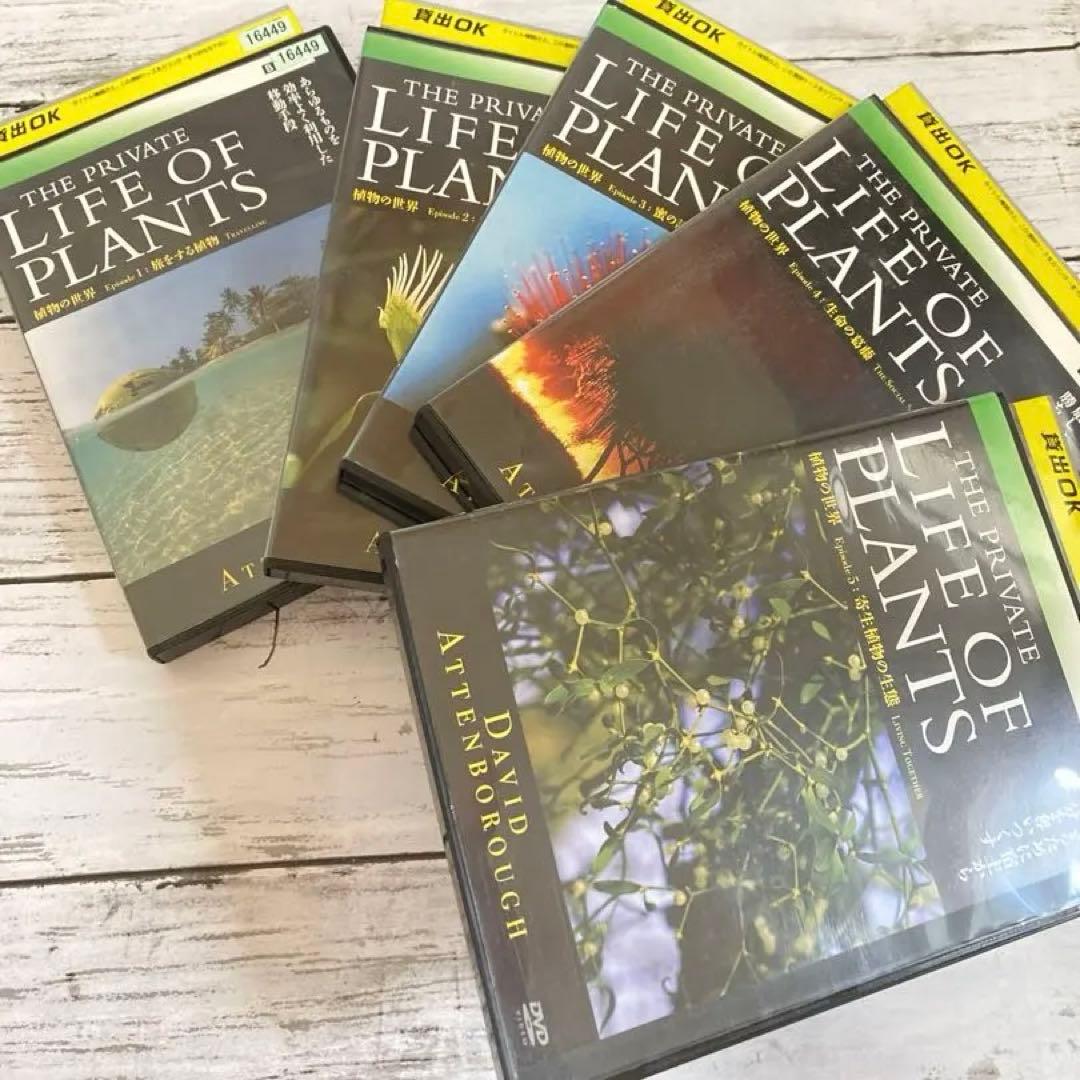 BBC 植物の世界 DVD 5枚セット　まとめ売り