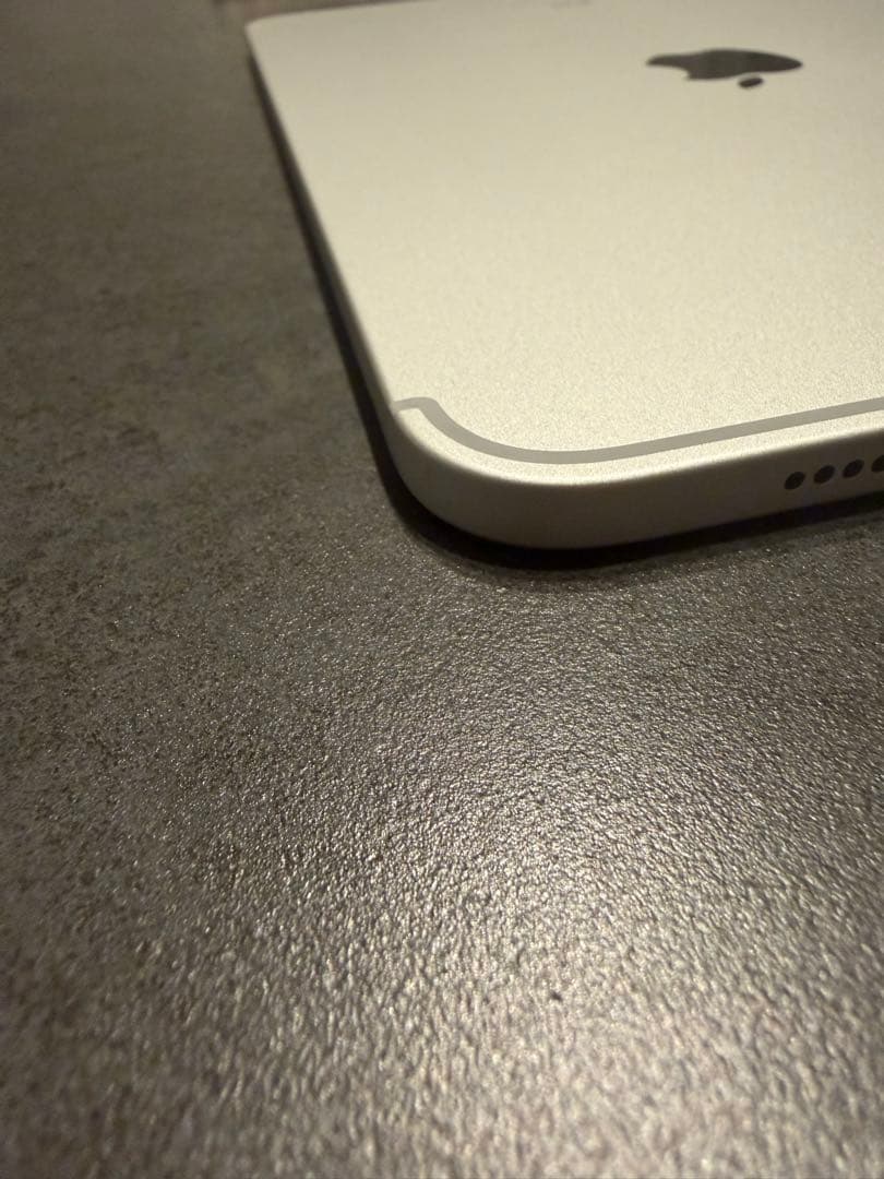 iPad 10世代シルバー　Wi-Fi+セルラーモデル （フィルム•ケース付き）