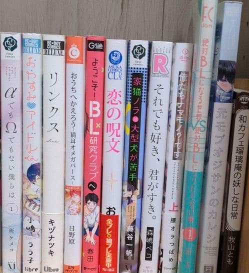 BL漫画　まとめ売り　バラ売り可　12冊