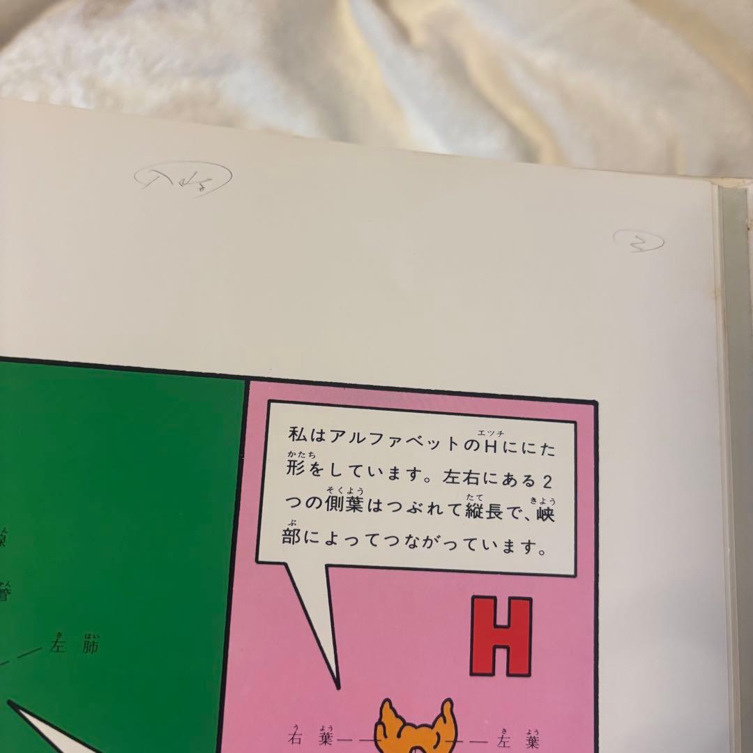 すばらしい人間のからだ 全12巻