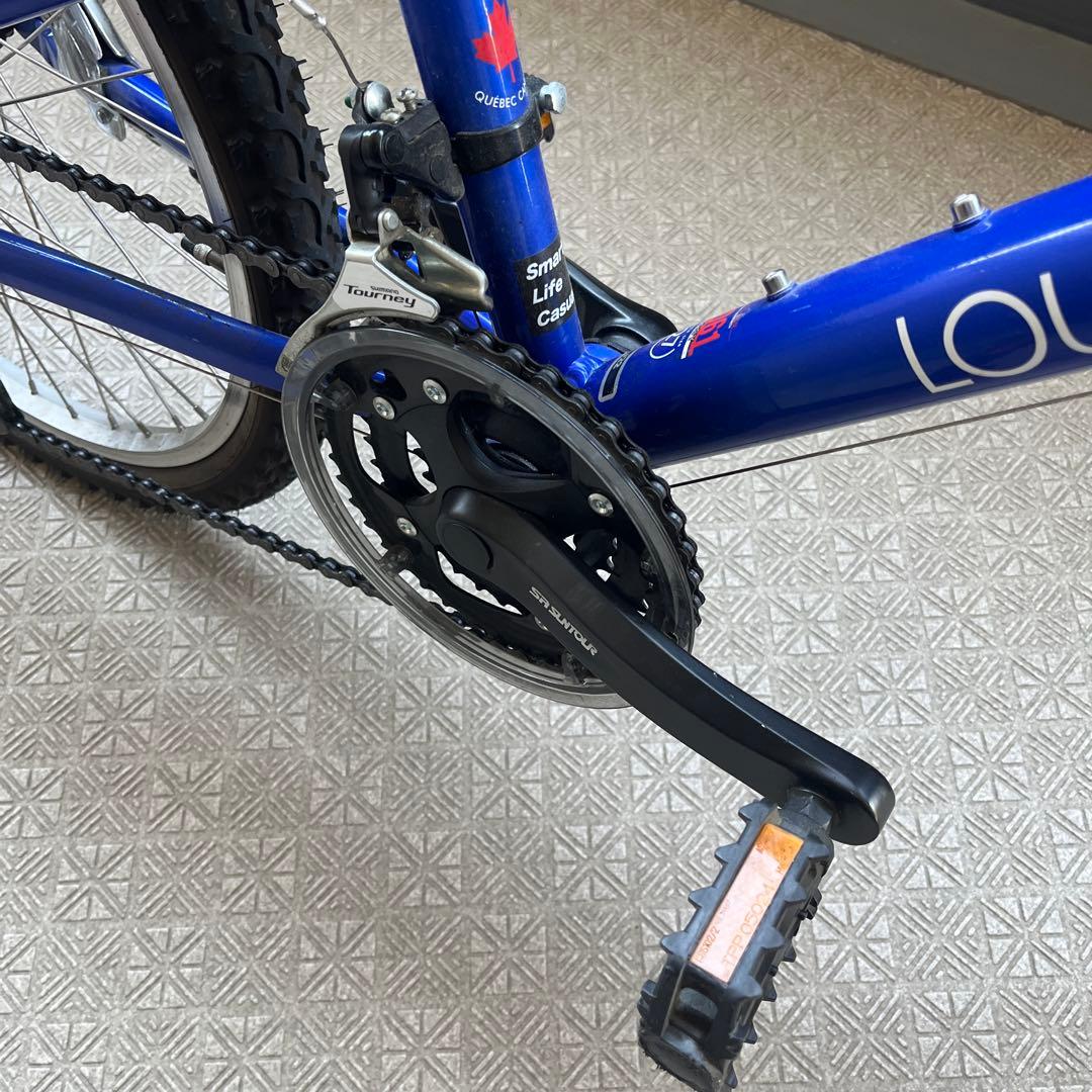 ルイガノ　ジュニア自転車 22インチ