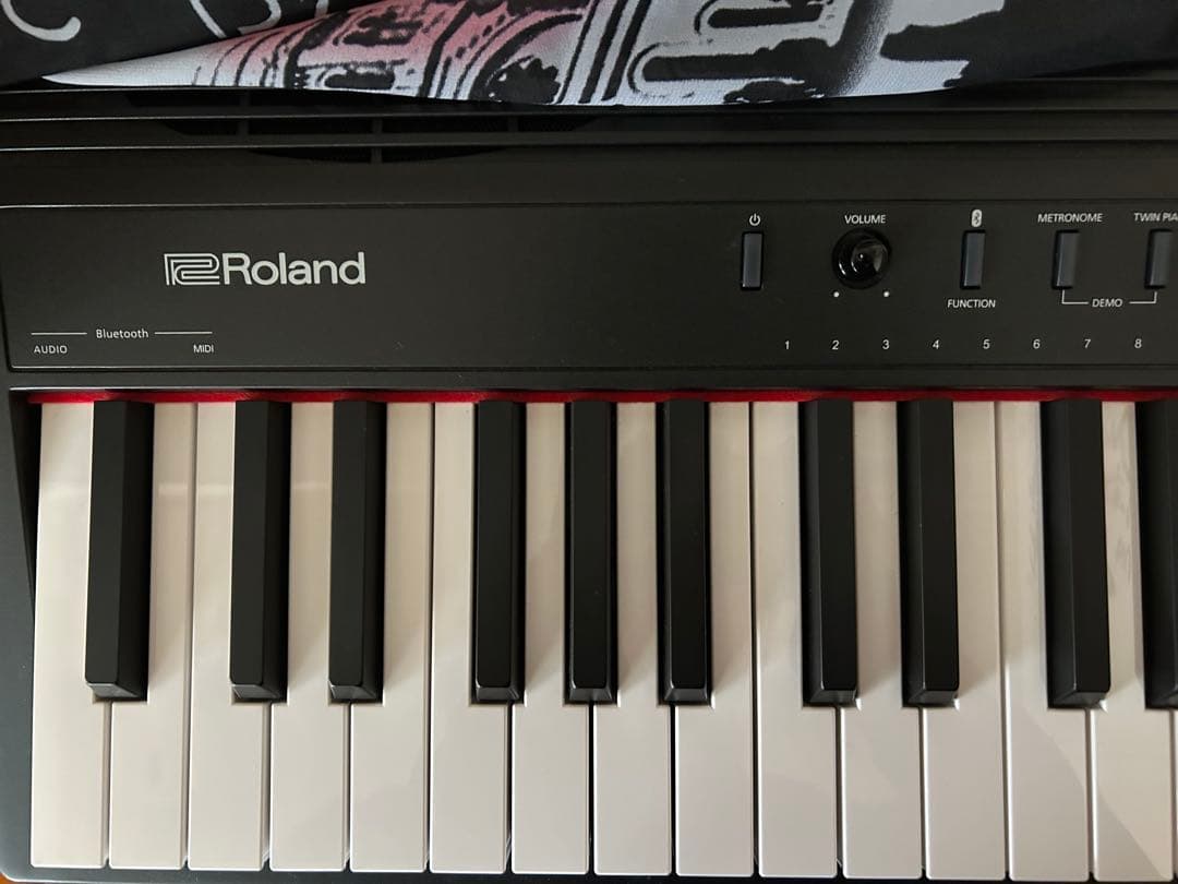 Roland GO:PIANO88 (GO-88P)88鍵盤 電子ピアノ【美品】