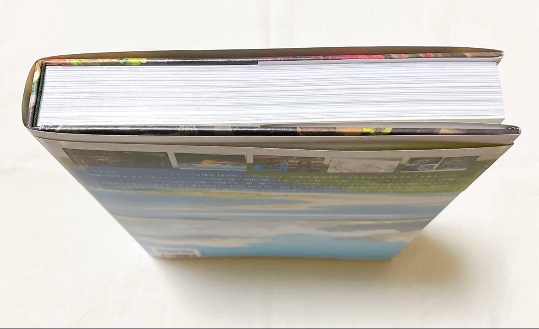 スタジオジブリの美術 画集 本 背景美術