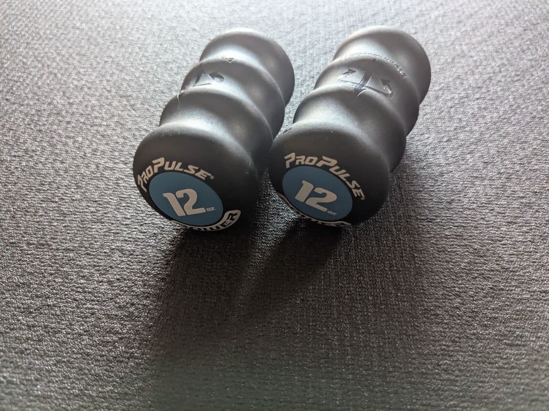 ProPulse 340g 中古 正規品 体幹 リズム 格闘技