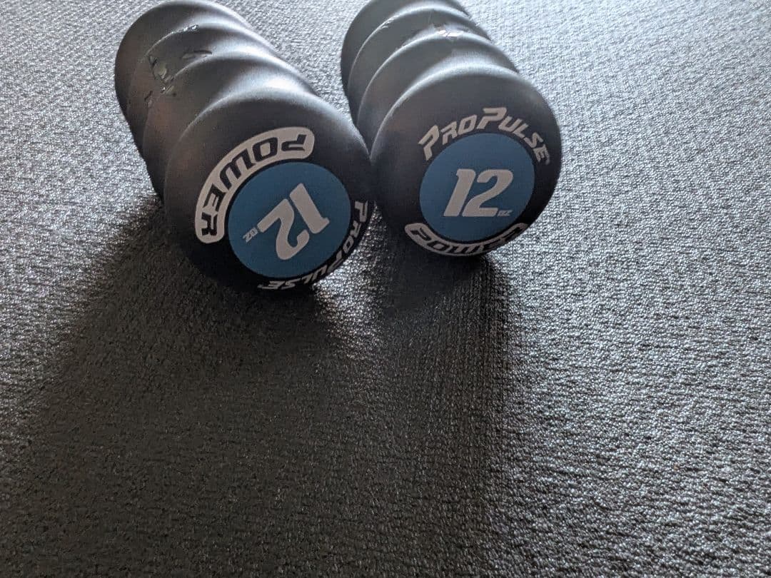 ProPulse 340g 中古 正規品 体幹 リズム 格闘技