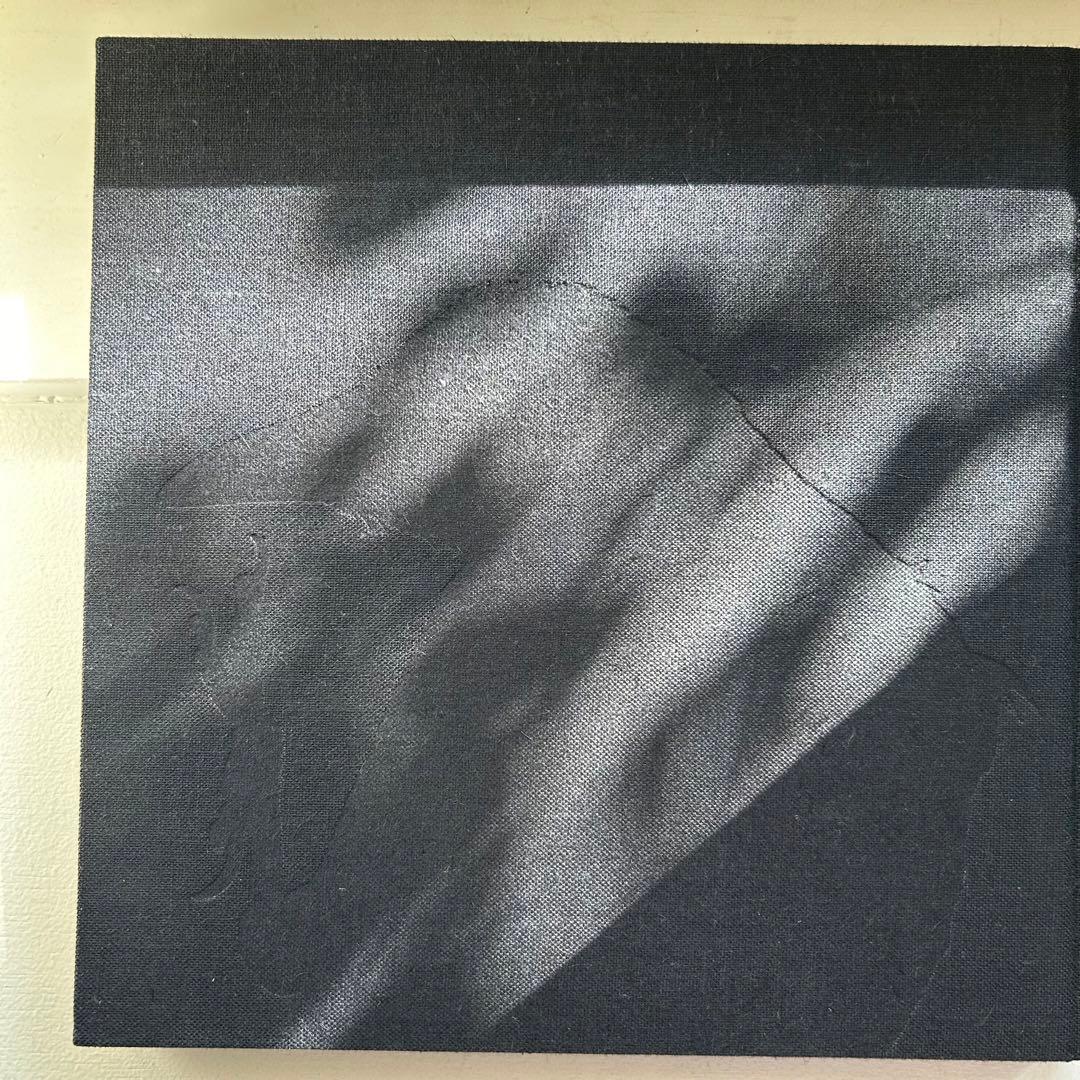 深瀬昌久 鴉 初版