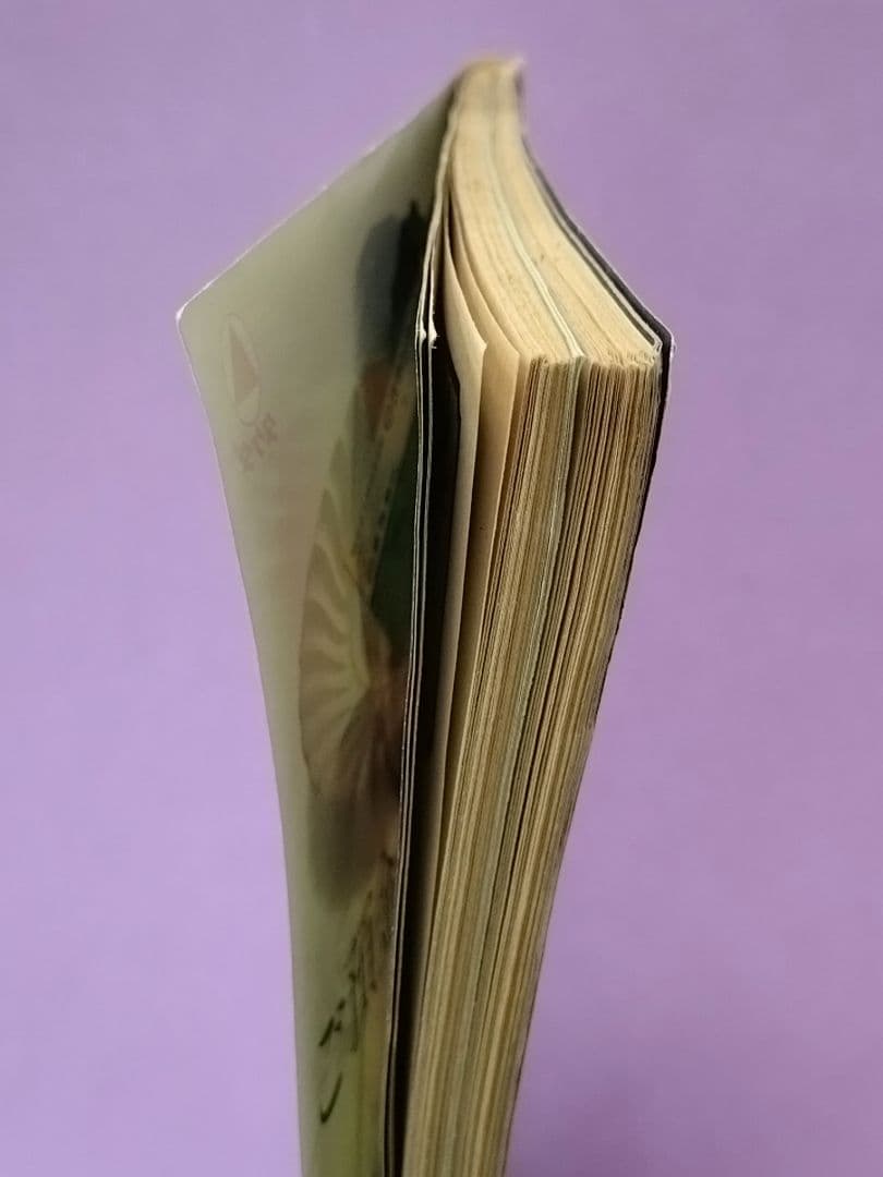 樋口可南子 直筆サイン色紙 & 週刊朝日 1982.1-15号