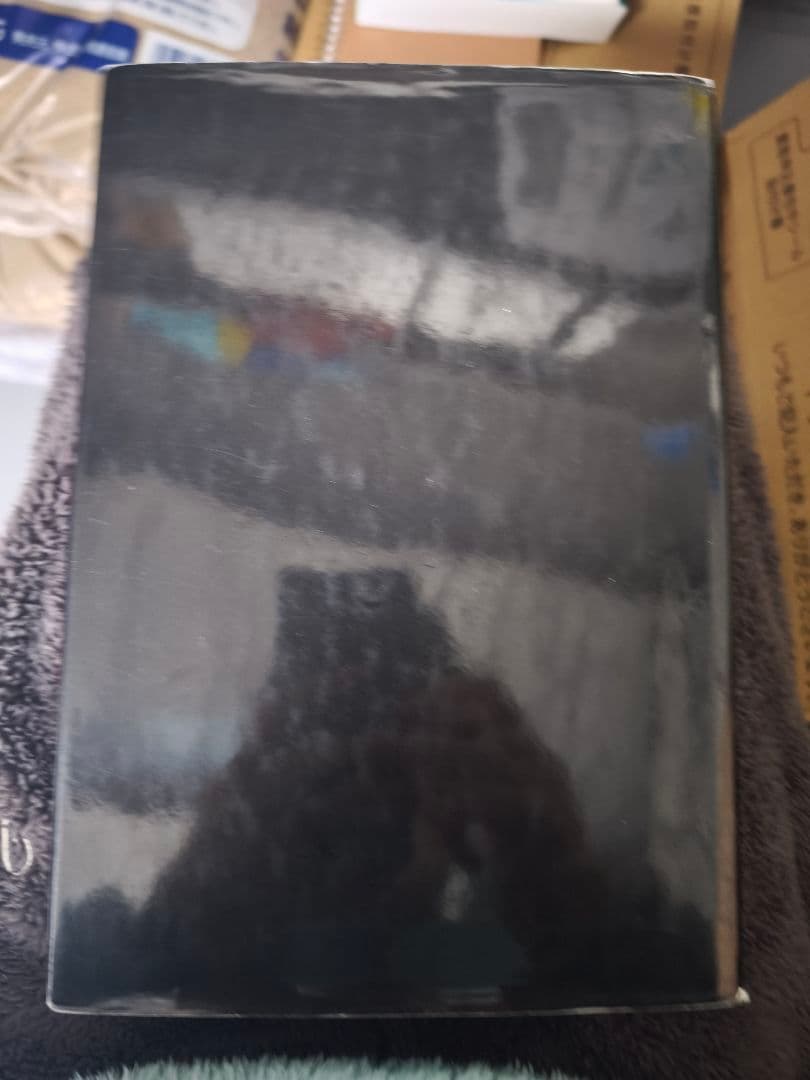 【超希少本/極美品】内臓マニピュレーション（ジャン＝ピエール・バラル著）