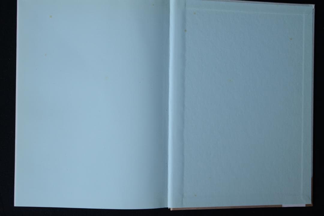 【Rineke Dijkstra: Portraits】2001年　★未読・美本