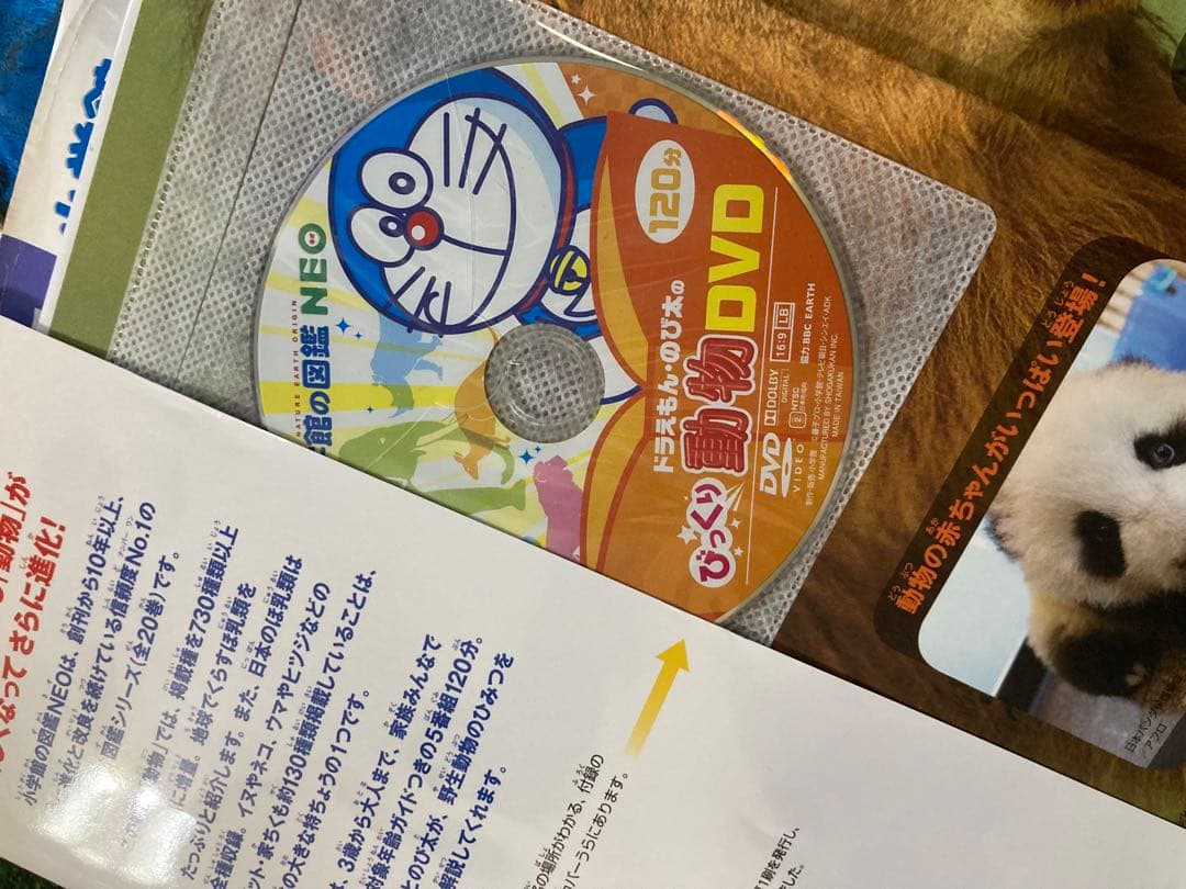 小学館 図鑑NEO 他図鑑14巻 セット まとめ売り おまけつき