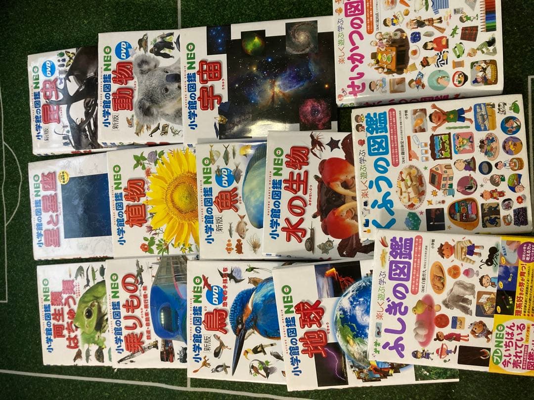 小学館 図鑑NEO 他図鑑14巻 セット まとめ売り おまけつき