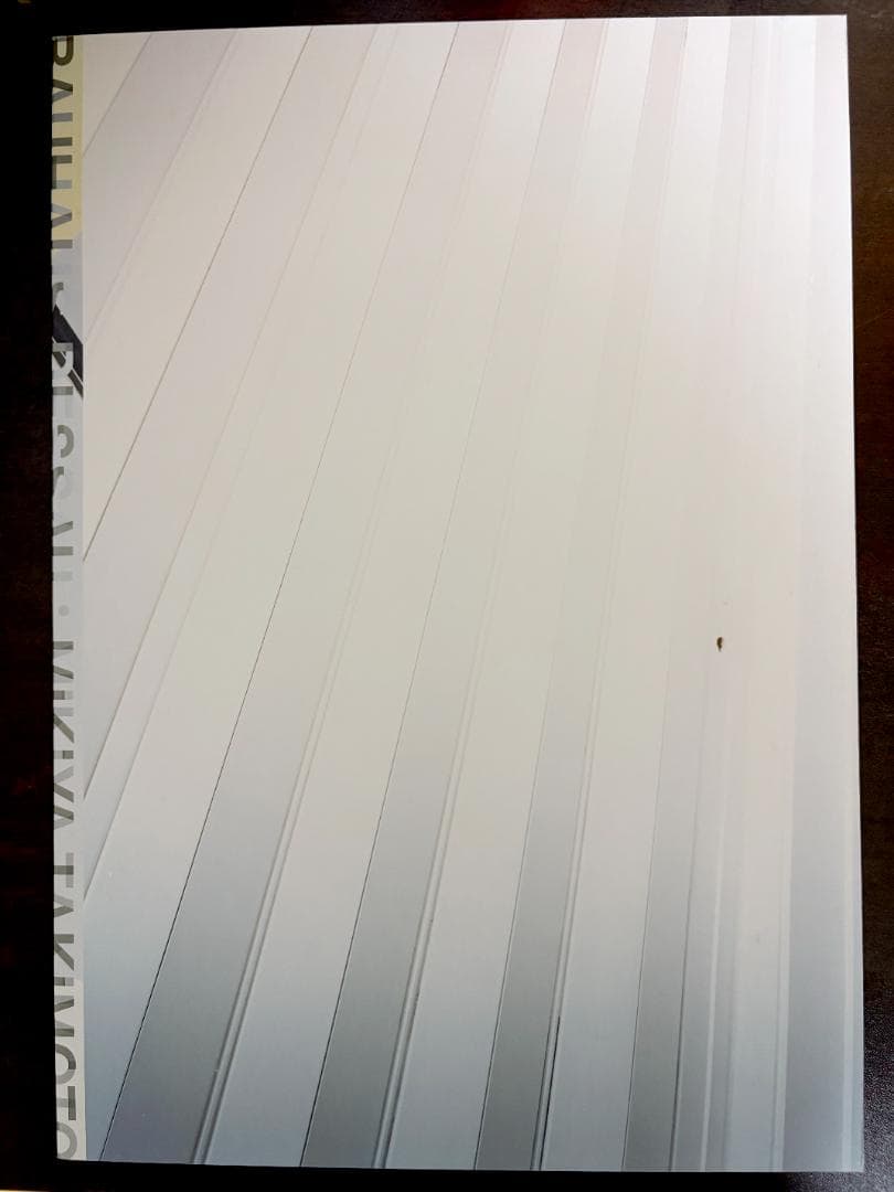 BAUHAUS DESSAU∴MIKIYA TAKIMOTO 瀧本幹也 坂本龍一